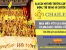 Bạn cần một môi trường năng động, trẻ trung và chuyên nghiệp?